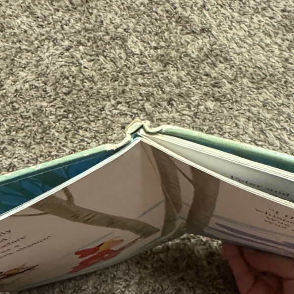 Disney's Peter and the Wolf Book - vintage 1974 book with complementary CS - Picture 8 of 10